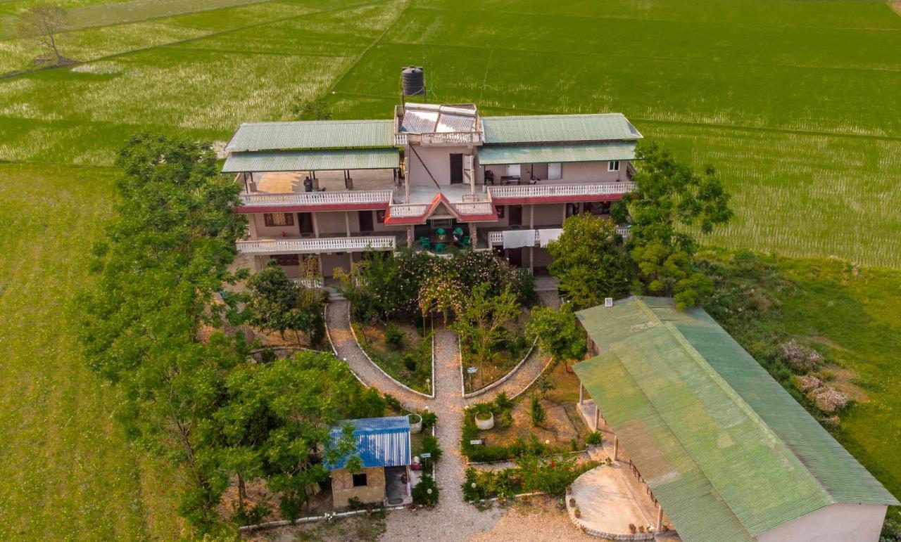Hotel Tree Tops Sauraha Ngoại thất bức ảnh