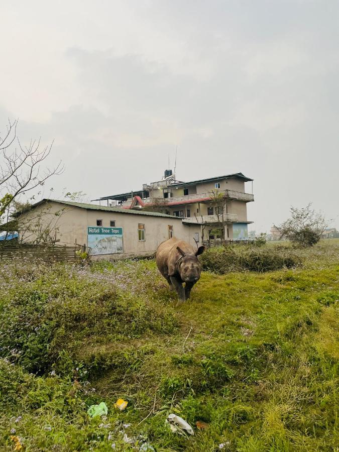 Hotel Tree Tops Sauraha Ngoại thất bức ảnh