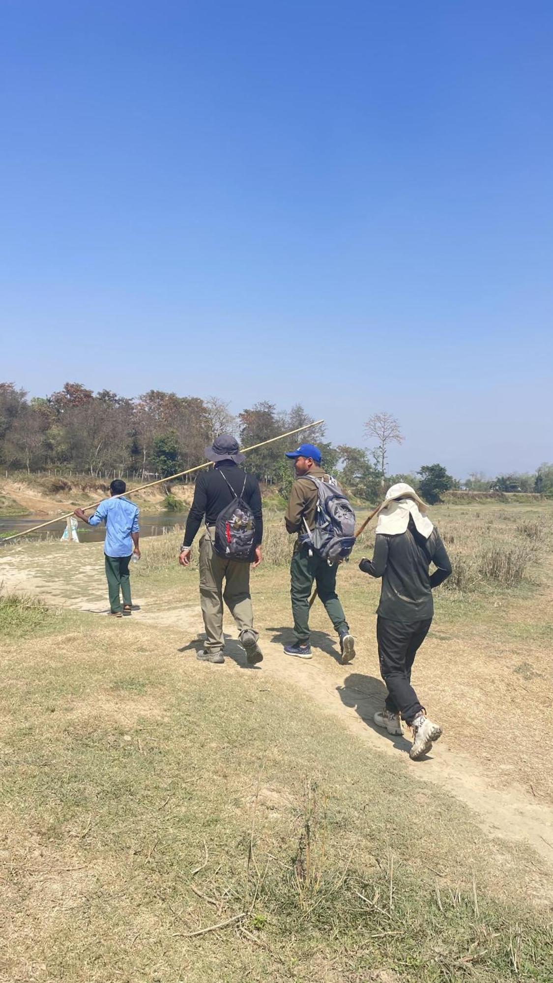 Hotel Tree Tops Sauraha Ngoại thất bức ảnh