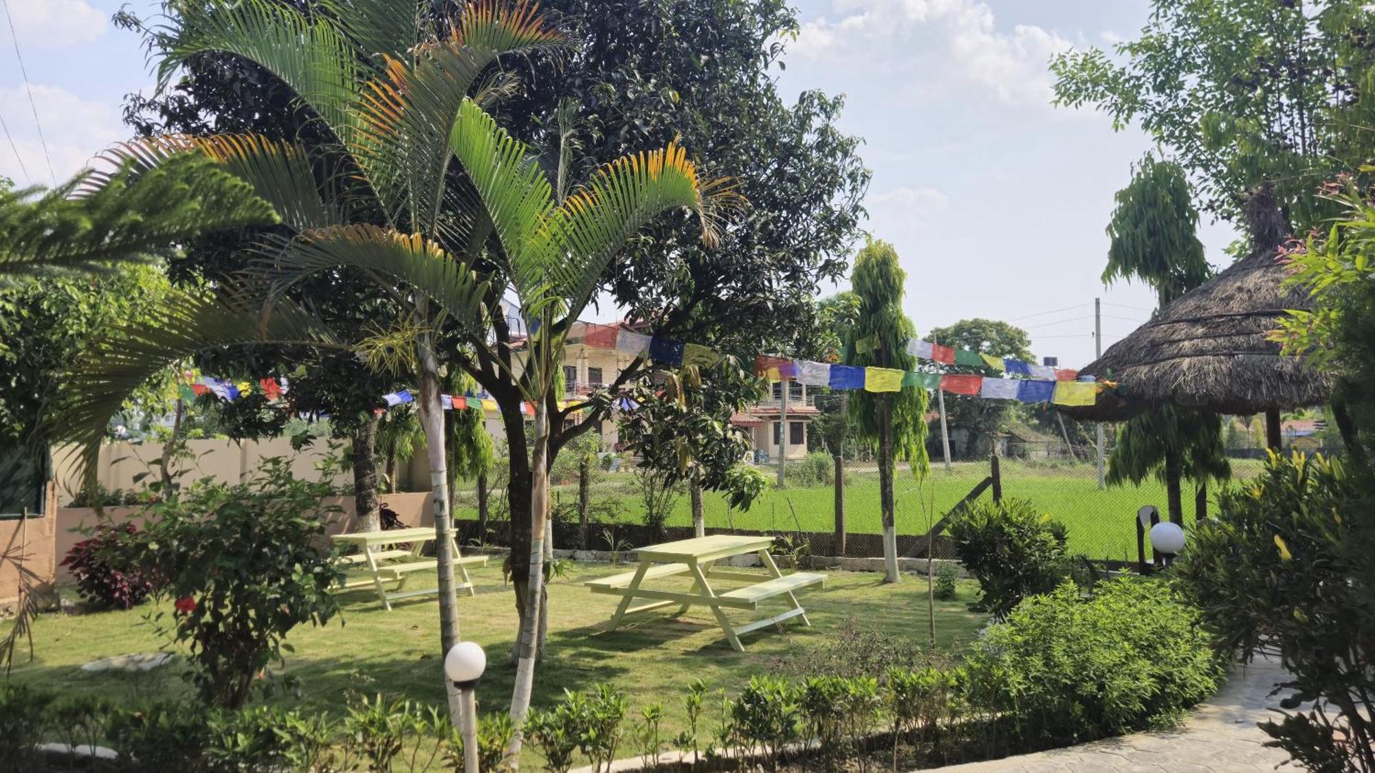 Hotel Tree Tops Sauraha Ngoại thất bức ảnh