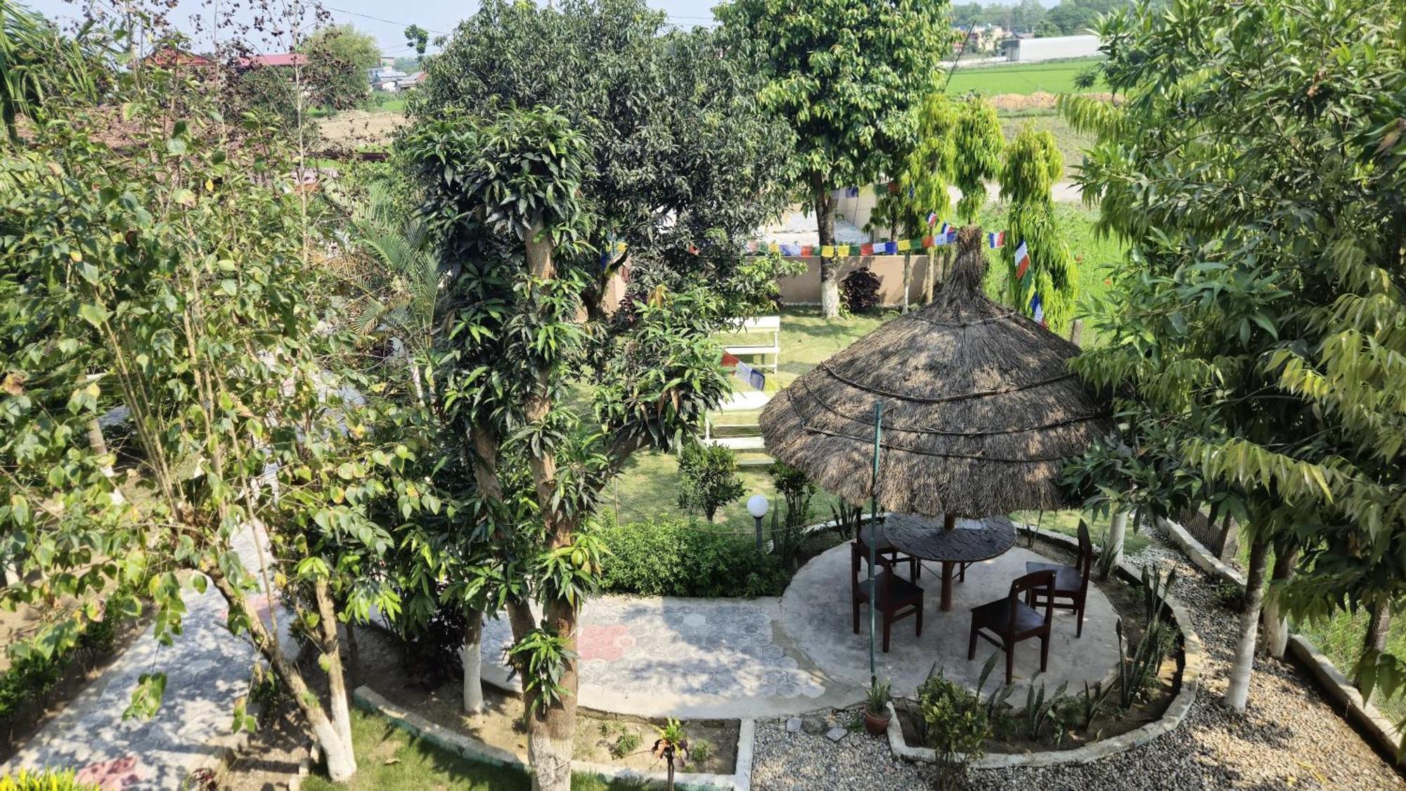 Hotel Tree Tops Sauraha Ngoại thất bức ảnh