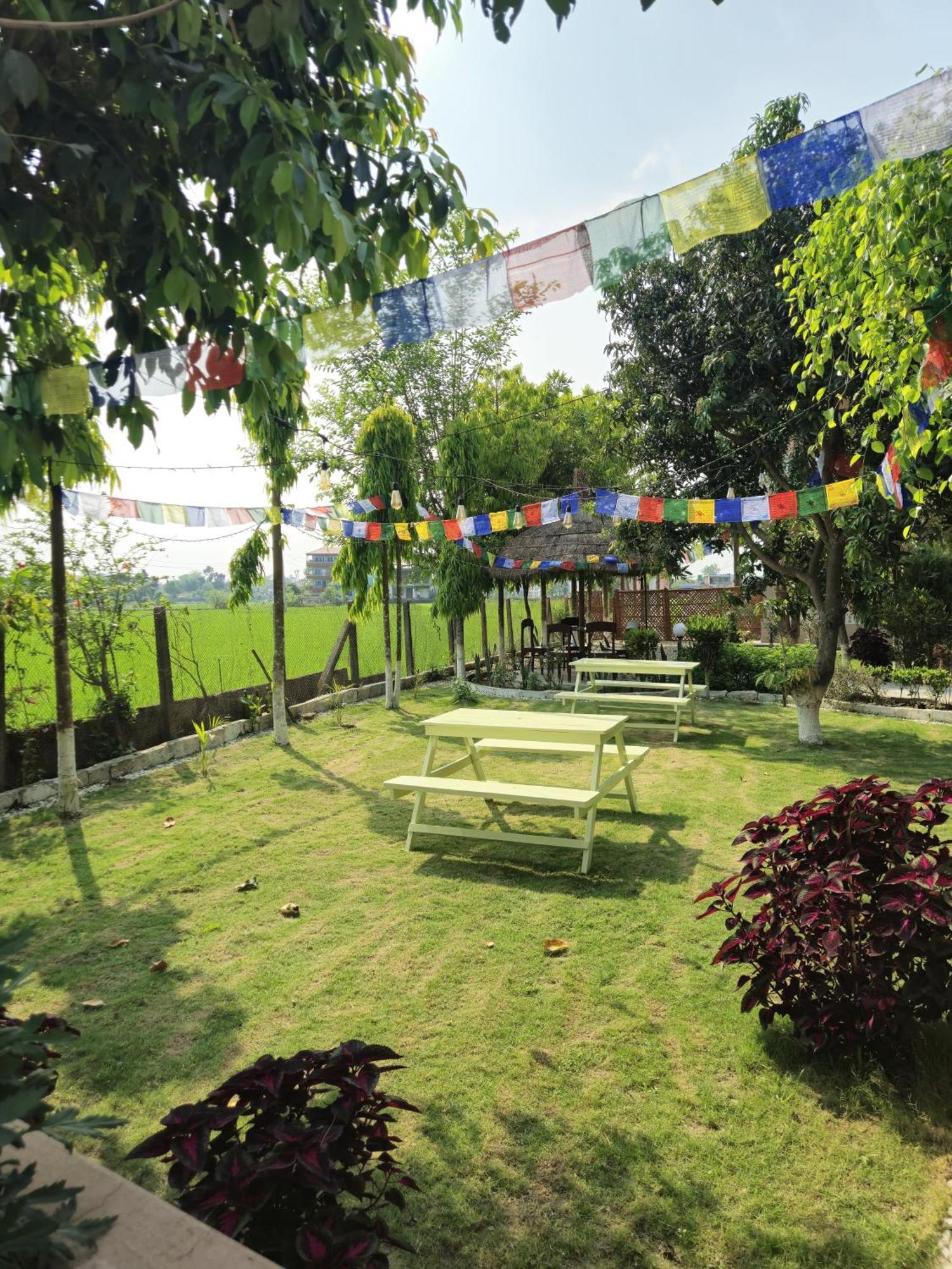 Hotel Tree Tops Sauraha Ngoại thất bức ảnh