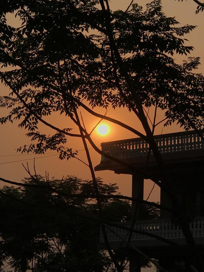Hotel Tree Tops Sauraha Ngoại thất bức ảnh